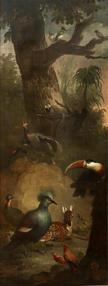 Aert Schouman (1710-1792) - Roe Deer, a Marmoset, a Toucan and other Birds - 515649 - National Trust