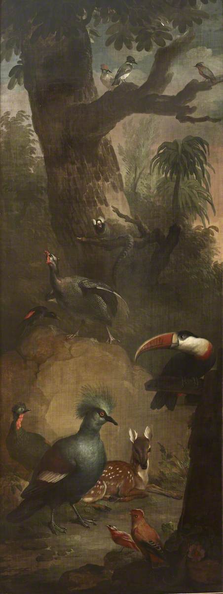 Aert Schouman (1710-1792) - Roe Deer, a Marmoset, a Toucan and other Birds - 515649 - National Trust