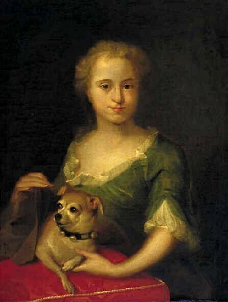 Aert Schouman - Portret van Catharina Cornelia de Heer - 2373 (OK) - Museum Boijmans Van Beuningen