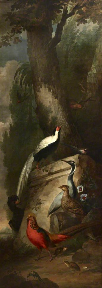 Aert Schouman (1710-1792) - Red, Gold and Silver Pheasants and a Crane - 515665 - National Trust