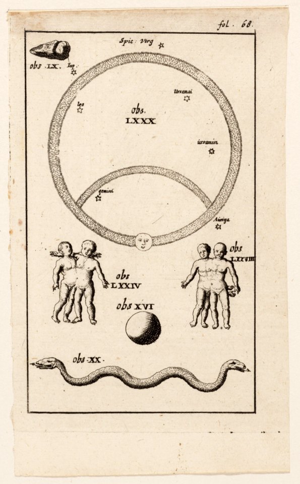 Afbeelding, fol. 68, met onder anderen een maankring, 2 Siamese tweelingen en een tweekoppige slang, objectnr A 19435