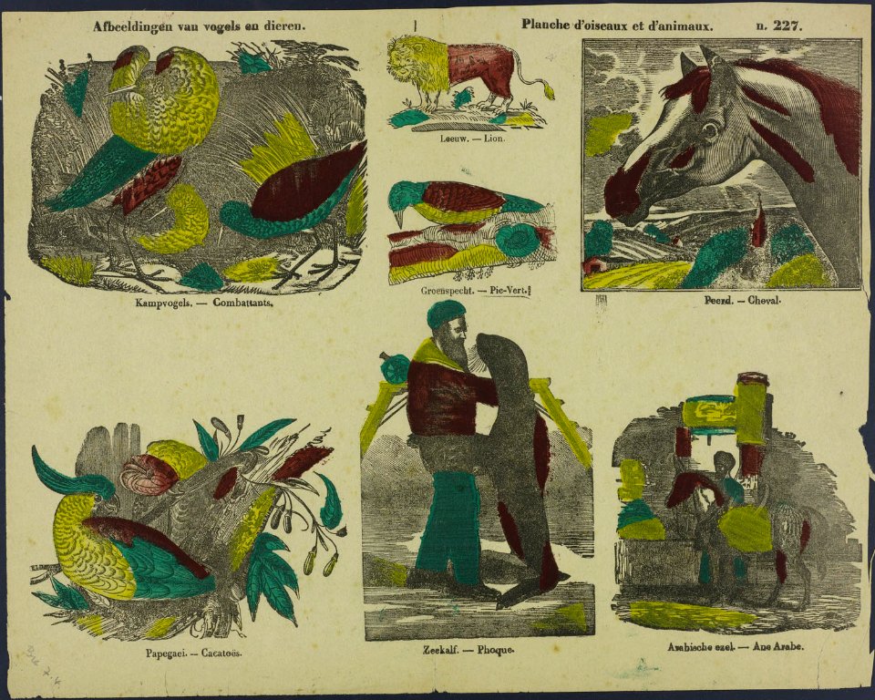 Afbeeldingen van vogels en dieren-Catchpenny print-Borms 0289
