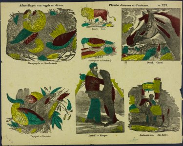 Afbeeldingen van vogels en dieren-Catchpenny print-Borms 0289