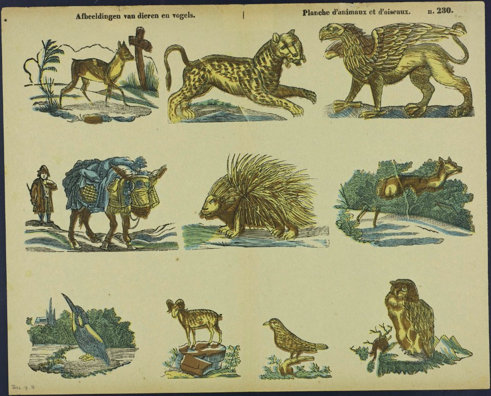 Afbeeldingen van dieren en vogels-Catchpenny print-Borms 0293