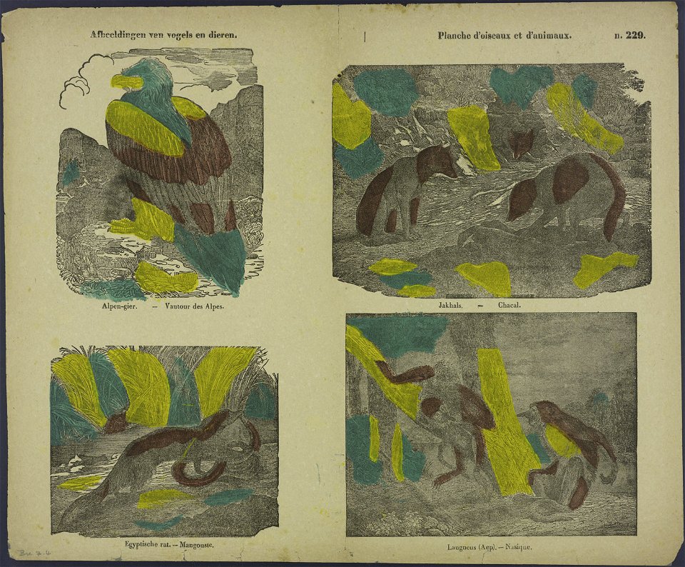 Afbeeldingen van vogels en dieren-Catchpenny print-Borms 0291