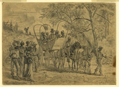 African American refugees coming into the Union lines near Culpeper Court House, Va. LCCN2004661825