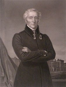 After Briggs - Arthur Wellesley, Duke of Wellington, cropped