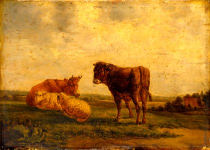 After Paulus Potter - Landscape with Cattle and Sheep - 53-1933 - Saint Louis Art Museum