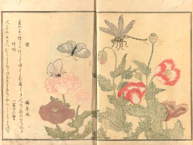 After Kitagawa Utamaro 001