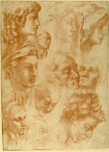 After Michelangelo Buonarroti - Twelve Studies of Heads, WA1846.93