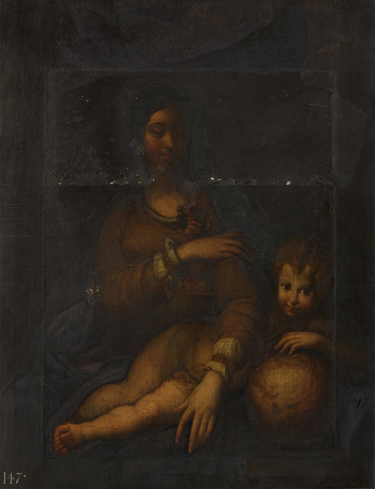 After Parmigianino (Parma 1503-Casalmaggiore 1540) - The Madonna della Rosa - RCIN 402695 - Royal Collection