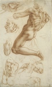 After Michelangelo Buonarroti - The Ignudo above the Persian Sibyl on the Sistine Ceiling and other studies circa 1630, RCIN 990441