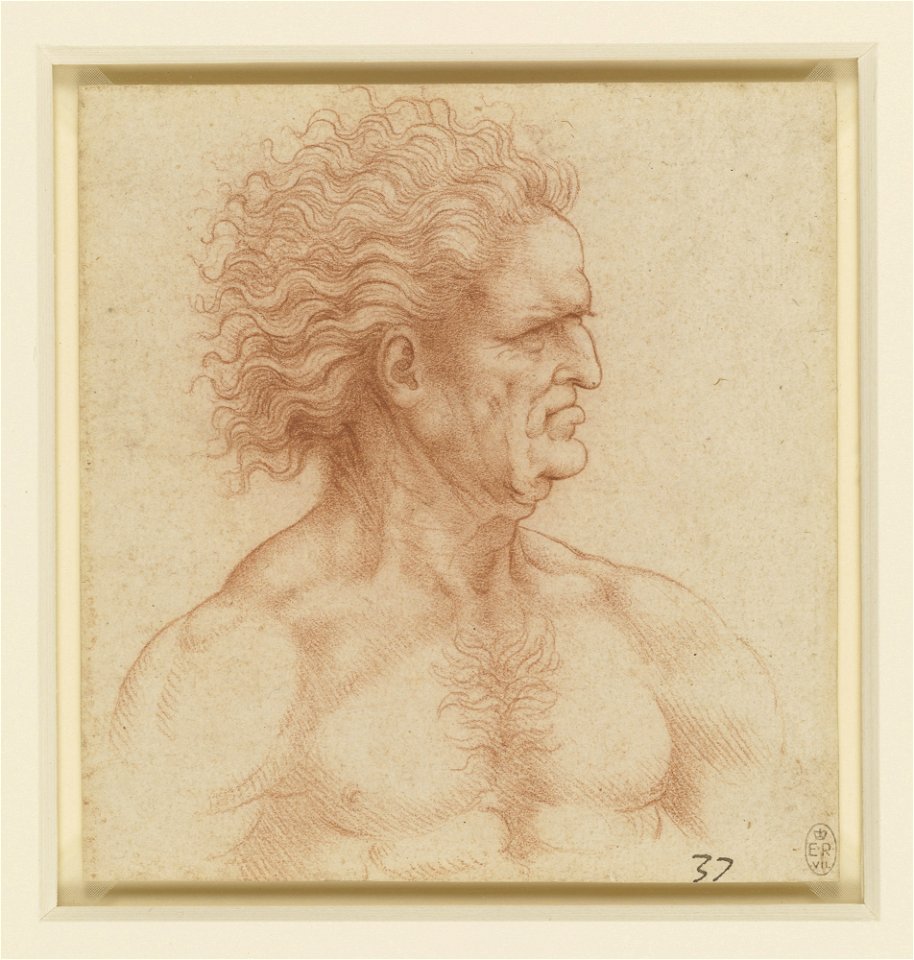 After Leonardo da Vinci - RCIN 912494, The bust of a man with flowing hair in profile c.1510-20