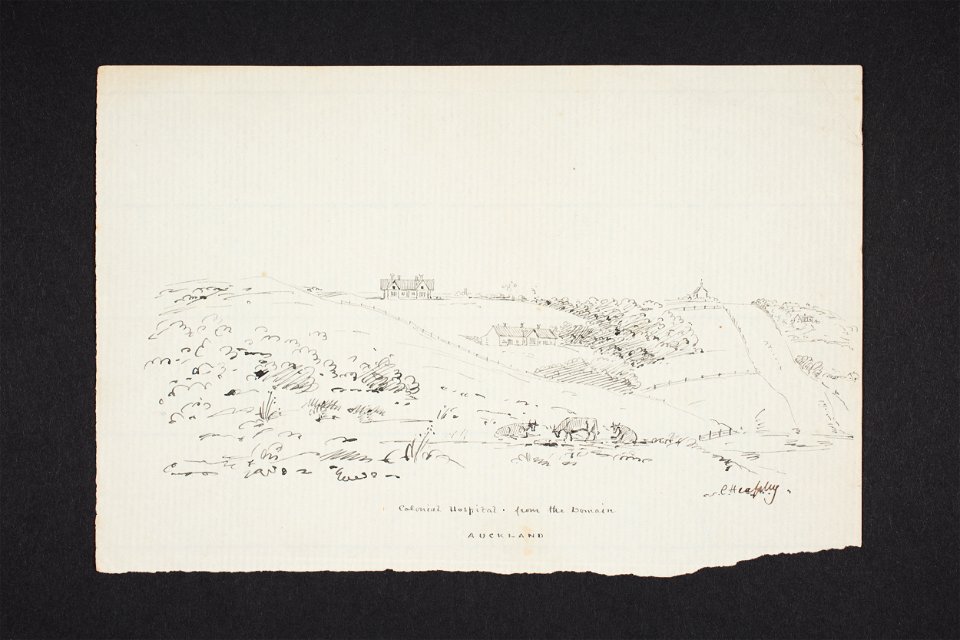 Colonial hospital from the Domain, Auckland (48752678406)
