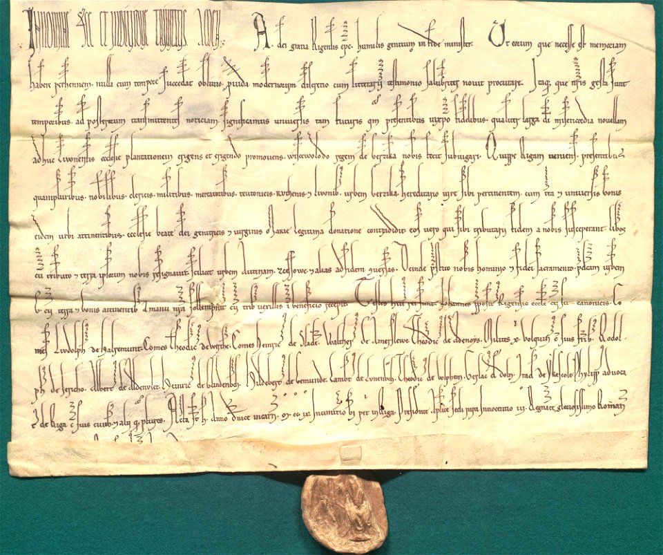 AGAD Potwierdzenie darowizny Wiscevolodus, rex de Berzika 1
