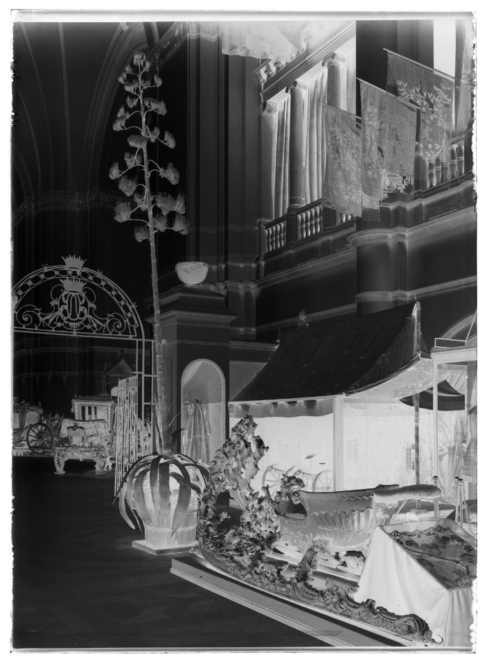 Agave-växt i Norra hallen - Livrustkammaren - 69404-negative
