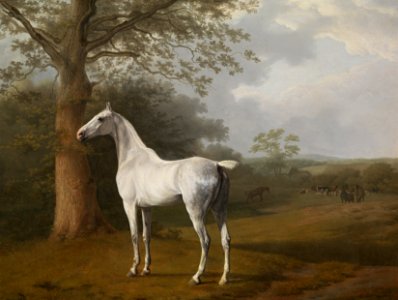 Jacques Laurent Agasse, Schimmel auf der Weide