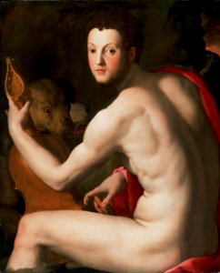 Agnolo Bronzino - Portrait of Cosimo I de' Medici as Orpheus - Google Art Project