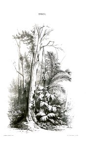 Agostinho José da Mota - Estudo de paisagem