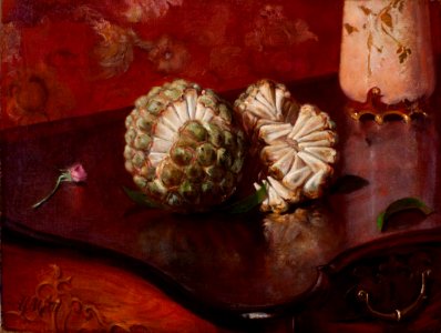 Agostinho da Motta - Sweetsop - Google Art Project