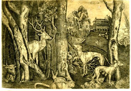 Agostino Veneziano - A group of animals, a deer, cat, hare and dogs, set among trees, with a building in the distance, 1856,0614.47