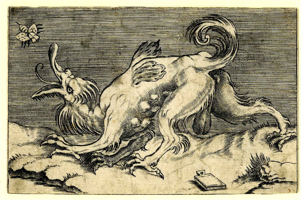 Agostino Veneziano - A monster or dragon snapping at a fly, H,3.43