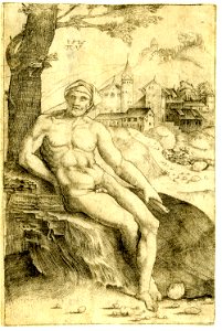 Agostino Veneziano - A male nude wearing a bonnet and holding a book, seated on a rock beneath a tree, 1854,0614.391