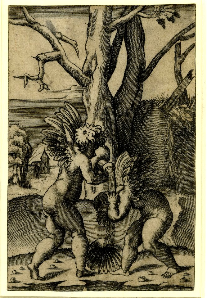 Agostino Veneziano - A putto standing at left pouring water from a vase onto the head of another inclining putto at right, H,7.27