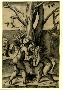 Agostino Veneziano - A putto standing at left pouring water from a vase onto the head of another inclining putto at right, H,7.27