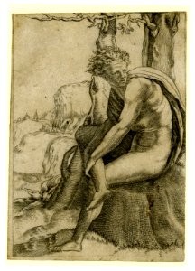 Agostino Veneziano - A male nude seated on a rock beneath a tree, holding his shin with his hand, 1866,0714.62