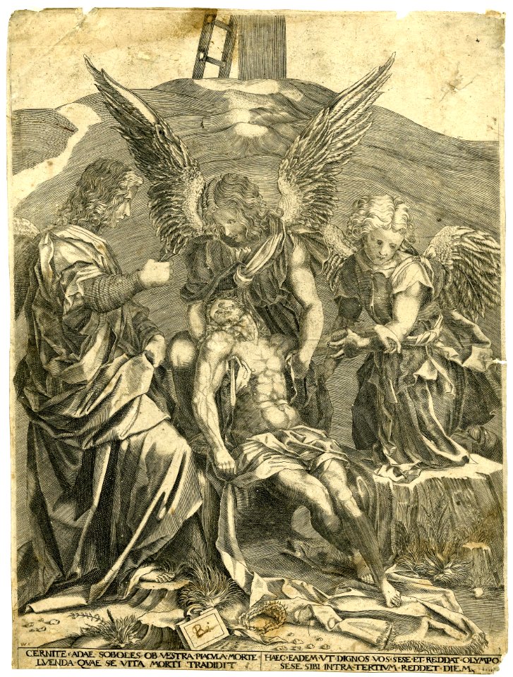 Agostino Veneziano - After - The body of Christ supported by three angels, the one at right kneels on a tree stump, after Andrea del Sarto, H,7.15
