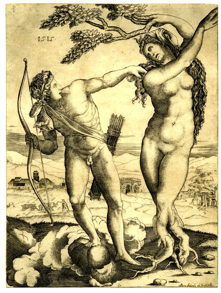 Agostino Veneziano - Apollo, holding a bow in his right hand and stretching his left hand out towards Daphne who is transforming into a laurel tree, H,2.70