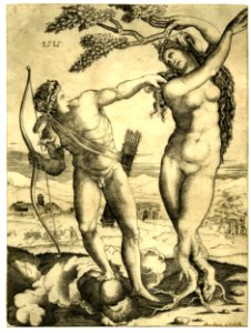 Agostino Veneziano - Apollo, holding a bow in his right hand and stretching his left hand out towards Daphne who is transforming into a laurel tree, H,2.70