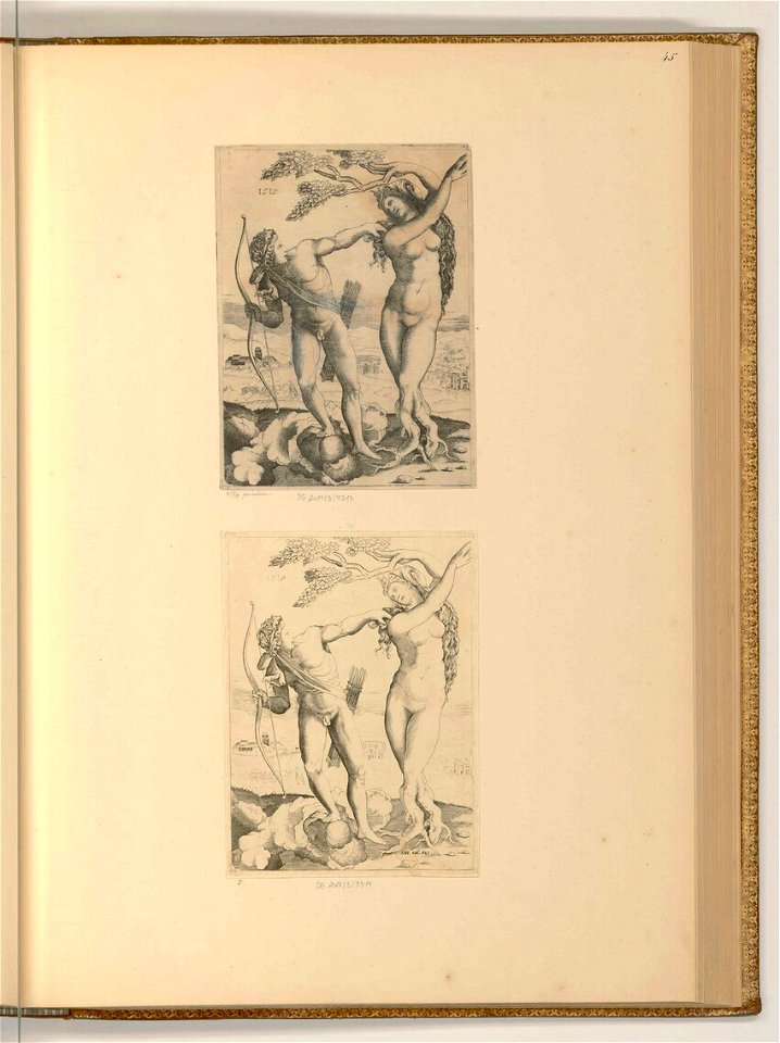 Agostino Veneziano - Apollo und Daphne, ItI2345