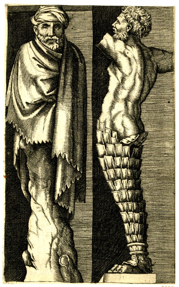 Agostino Veneziano - After - Terms, 1872,0113.393