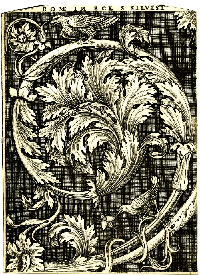 Agostino Veneziano - Acanthus scroll with a bird and fly, after an antique frieze in S.Silvestro in Rome. early 1530s, 1873,0809.755