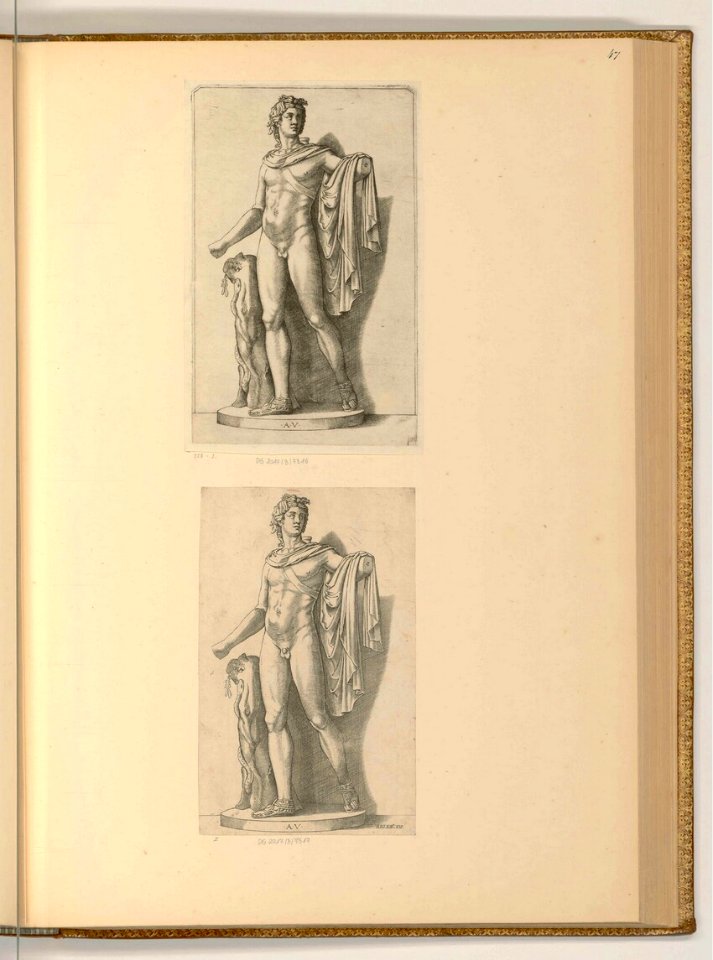 Agostino Veneziano - Der Apollo von Belvedere, ItI2347
