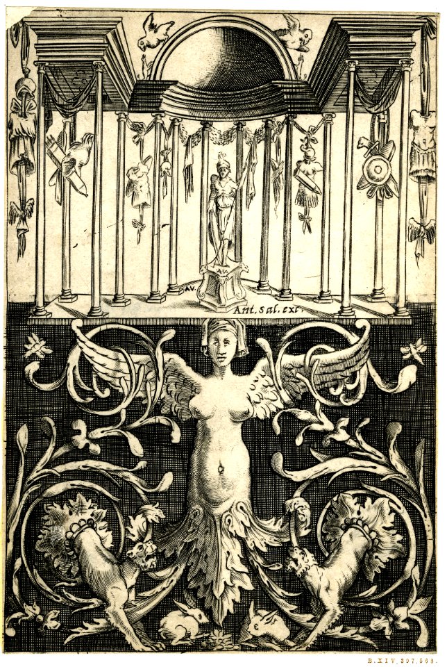 Agostino Veneziano - Set of twenty ornament panels, 1873,0809.763