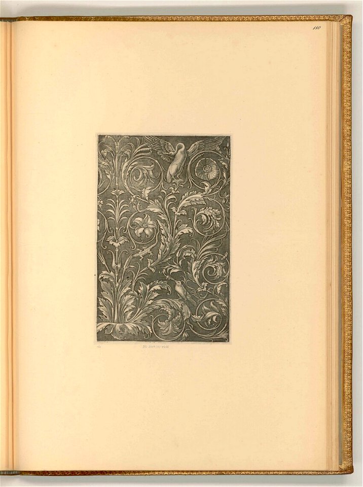 Agostino Veneziano - Ornament aus Akanthusblättern, Blüten und Tieren, ItI23110