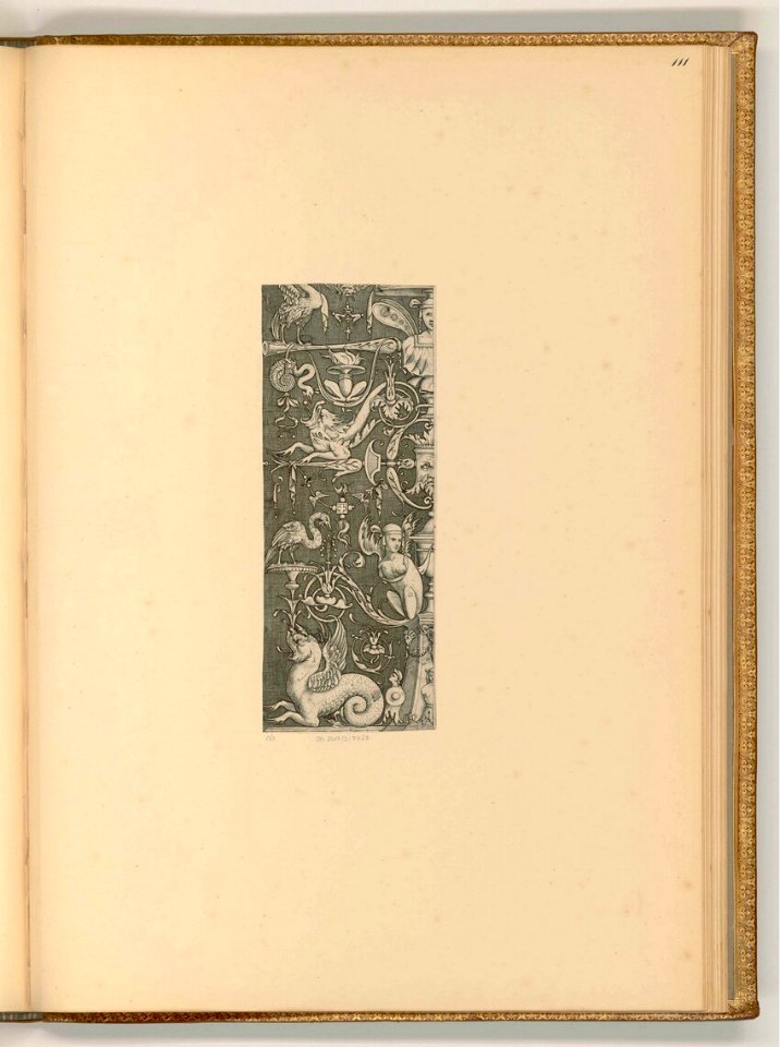 Agostino Veneziano - Ornament mit Ranken und Fabelwesen, ItI23111