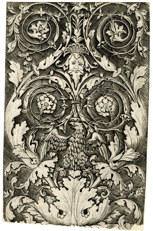 Agostino Veneziano - Panel of ornament with scrolls and an eagle. early 1530s, 1886,0111.91