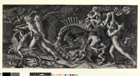Agostino Veneziano - Lo Stregozzo, H,3.51
