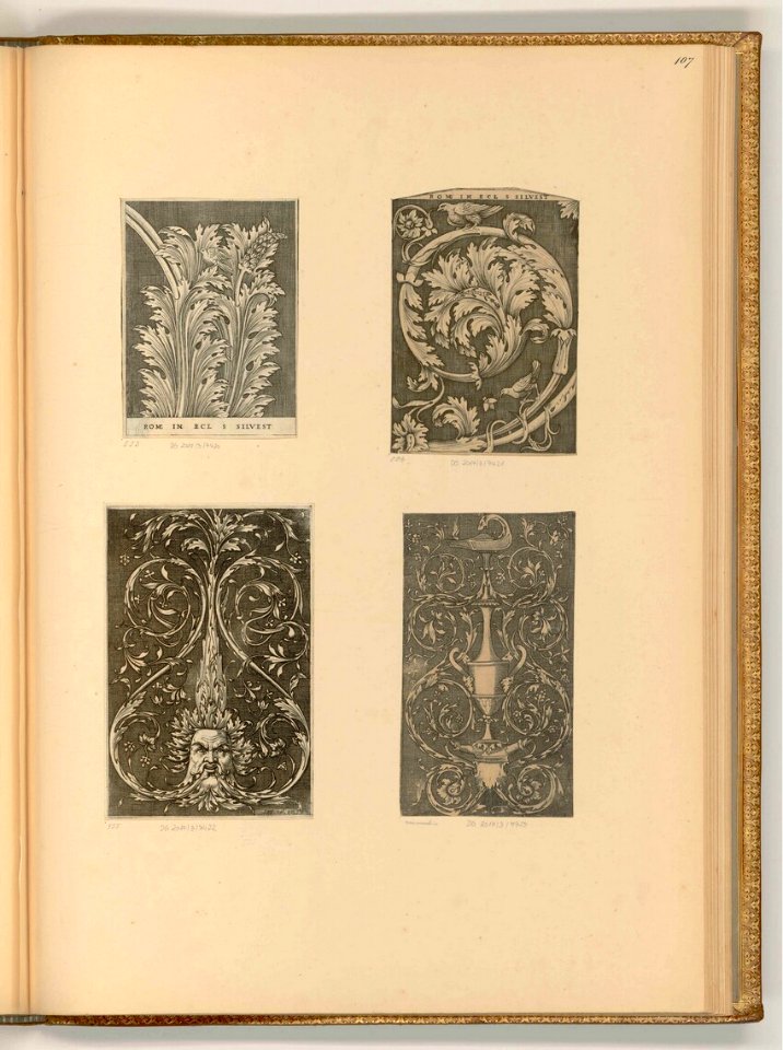 Agostino Veneziano - Ornament aus Ranken, Grotesken und Vasen; Akanthusblätter, ItI23107