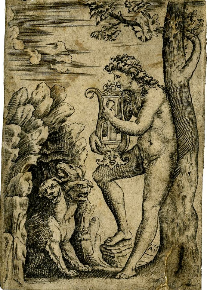 Agostino Veneziano - Orpheus, leaning against a tree, 1951,0407.77