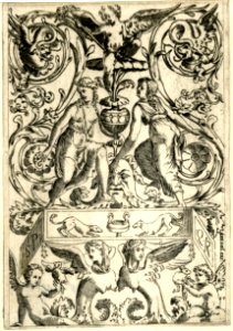Agostino Veneziano - Set of twenty ornament panels, 1873,0809.776