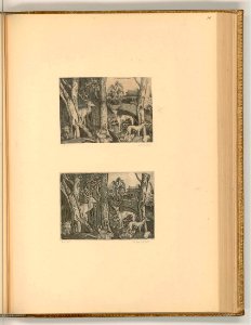 Agostino Veneziano - Tiere im Wald, im Hintergrund eine Stadtansicht, ItI2356