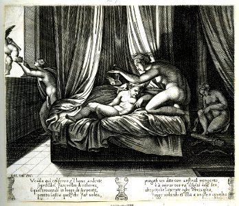 Agostino Veneziano - Story of Cupid and Psyche, M,44.27