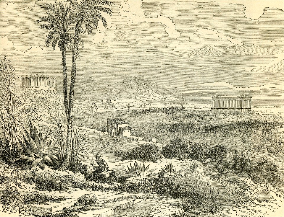Agrigento valle dei Templi (incisore anonimo 1893 circa)