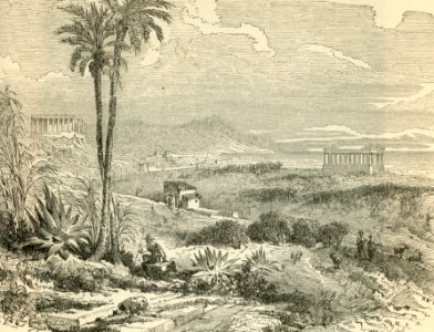 Agrigento valle dei Templi (incisore anonimo 1893 circa)