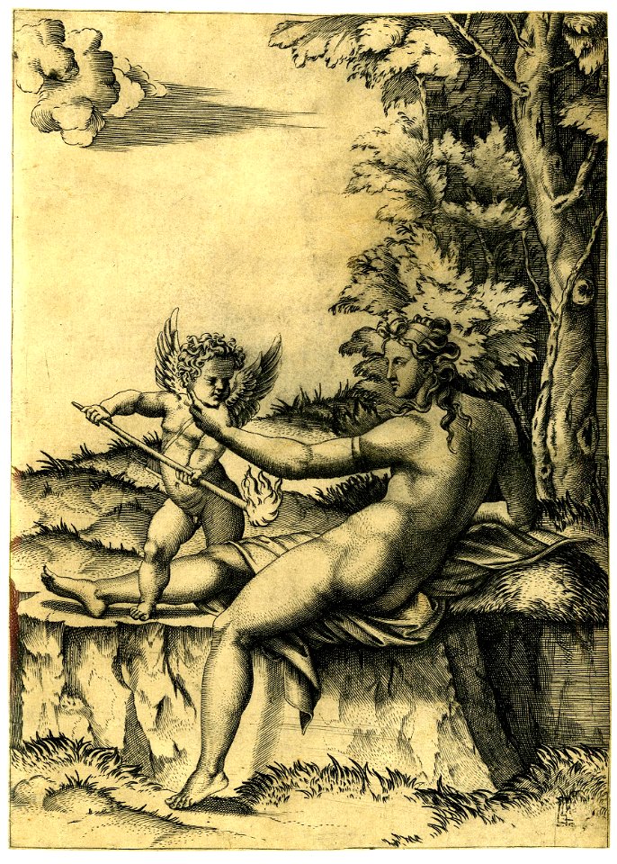 Agostino Veneziano - Venus recumbent on a rocky ledge, H,2.71